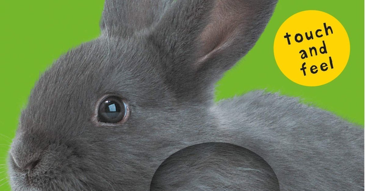 Board Books with Textured Pages for Babies: Top Picks for Sensory Fun
